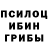 Псилоцибиновые грибы мицелий N1 Masin